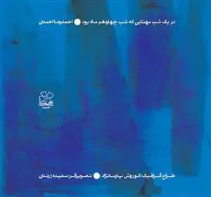 در یک شب مهتابی که شب چهاردهم ماه بود