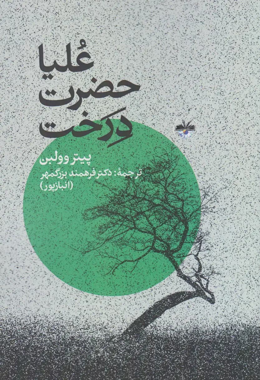 زندگی رازآمیز درختان