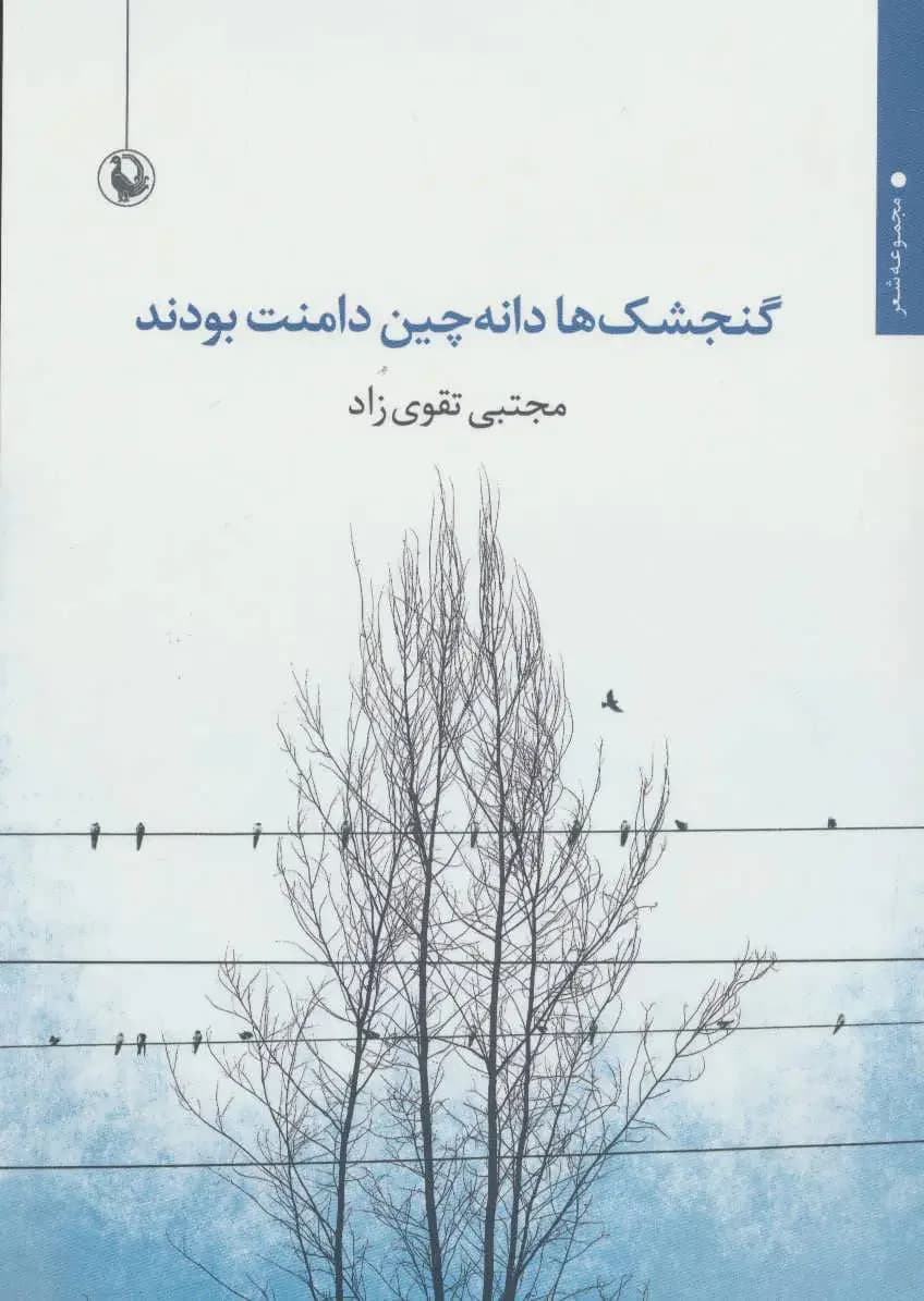 گنجشک ها دانه چین دامنت بودند