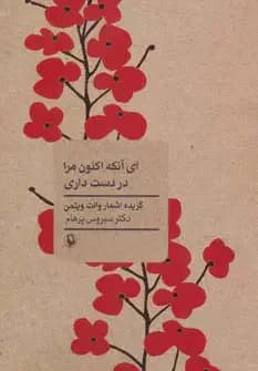 ای آنکه اکنون مرا در دست داری