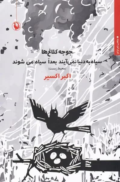 جوجه کلاغ ها