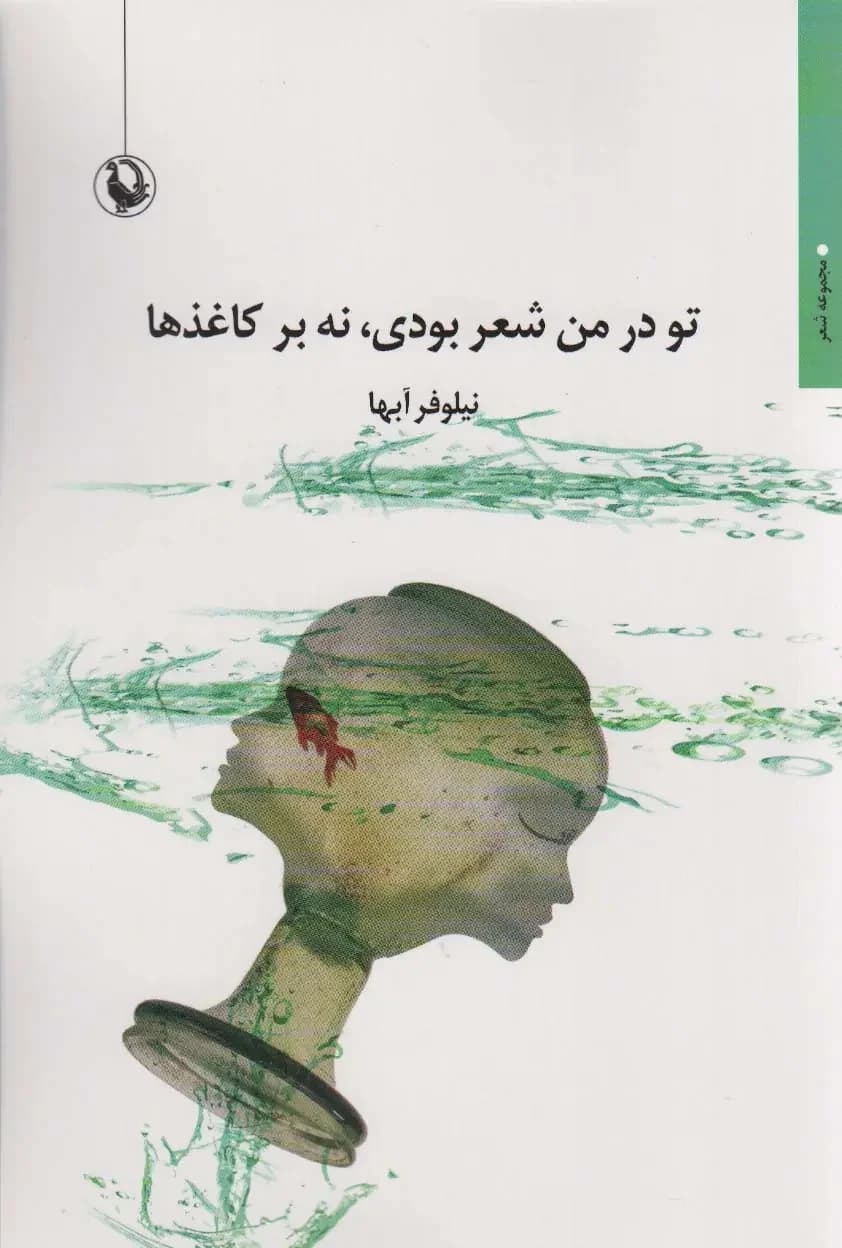 تو در من شعر بودی،نه بر کاغذ ها