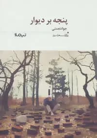 پنجه بر دیوار