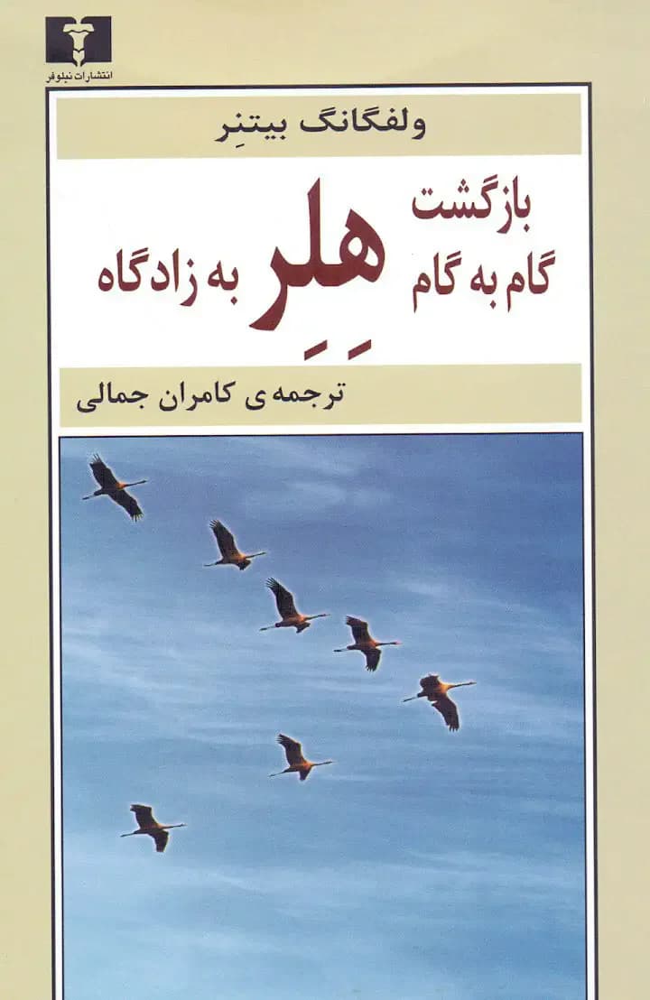 بازگشت گام به گام هلر به زادگاه