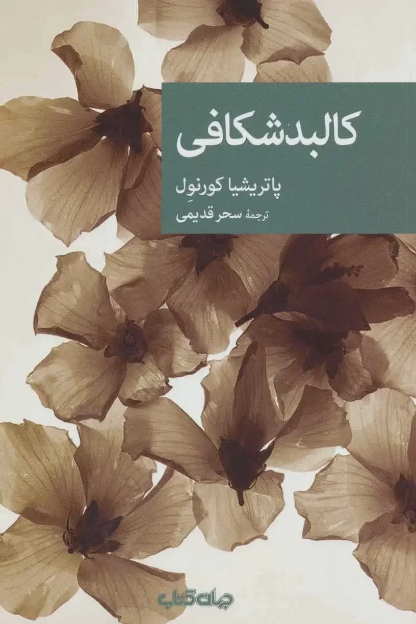 جلد پس از خاموشی