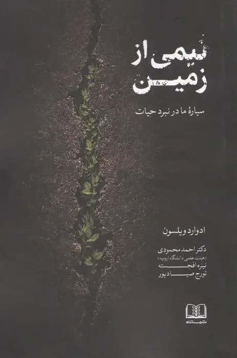 نیمی از زمین