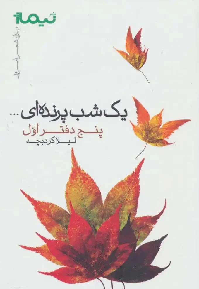 یک شب پرنده ای...