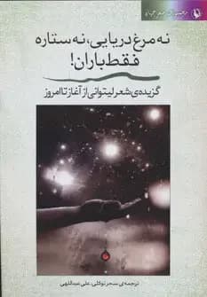 نه مرغ دریایی، نه ستاره فقط باران