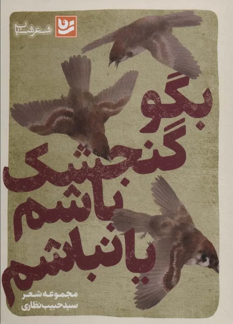 بگو گنجشک باشم یا نباشم