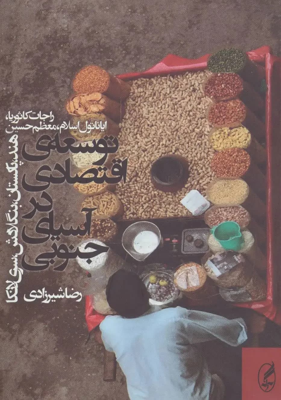 توسعه ی اقتصادی در آسیای جنوبی