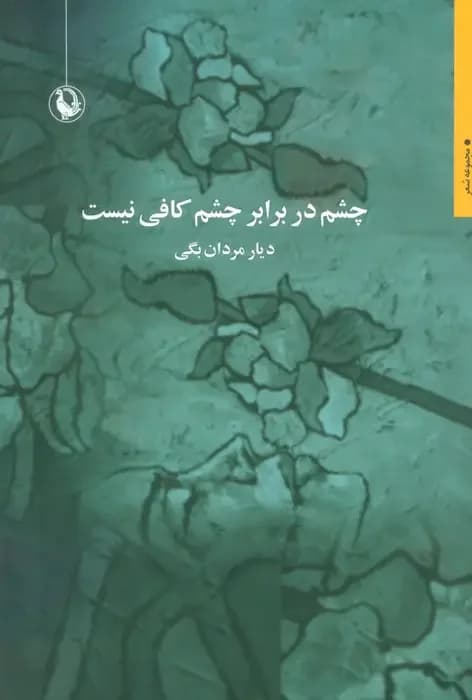 چشم در برابر چشم کافی نیست