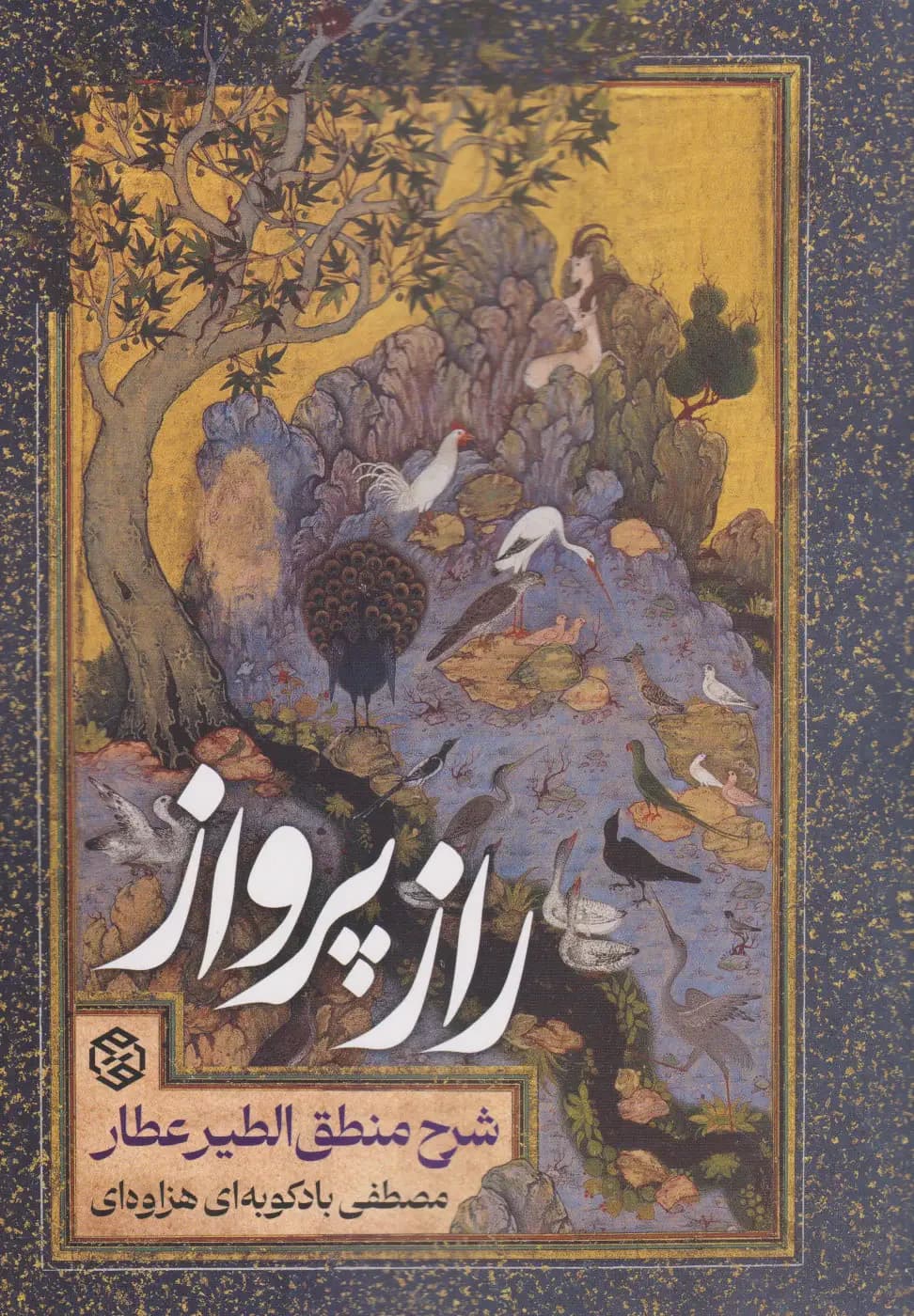 جلد راز پرواز