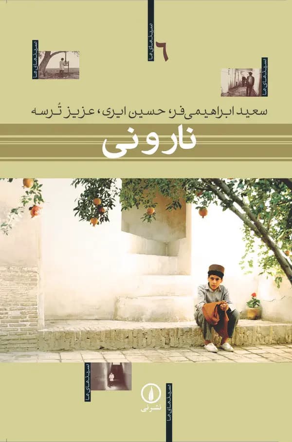نار و نی