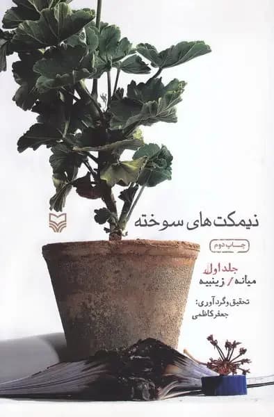 نیمکت های سوخته