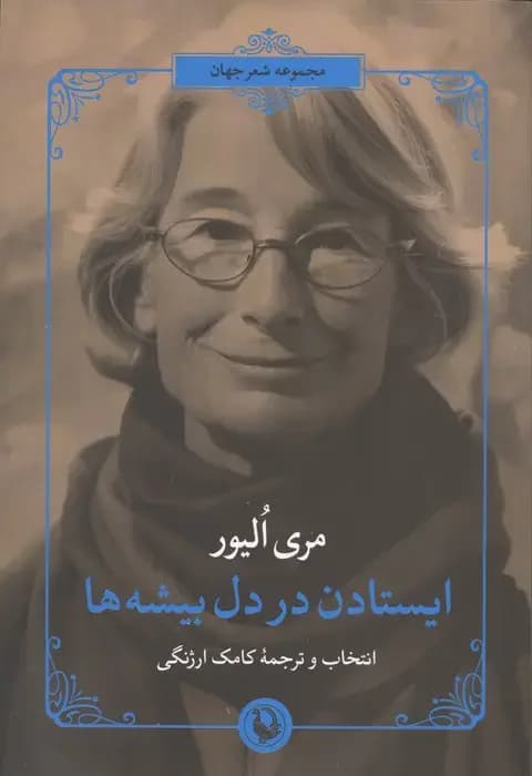 ایستادن در دل بیشه ها