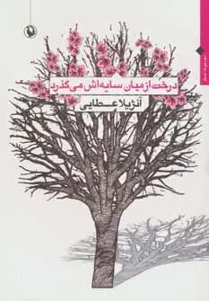 درخت از میان سایه اش می گذرد