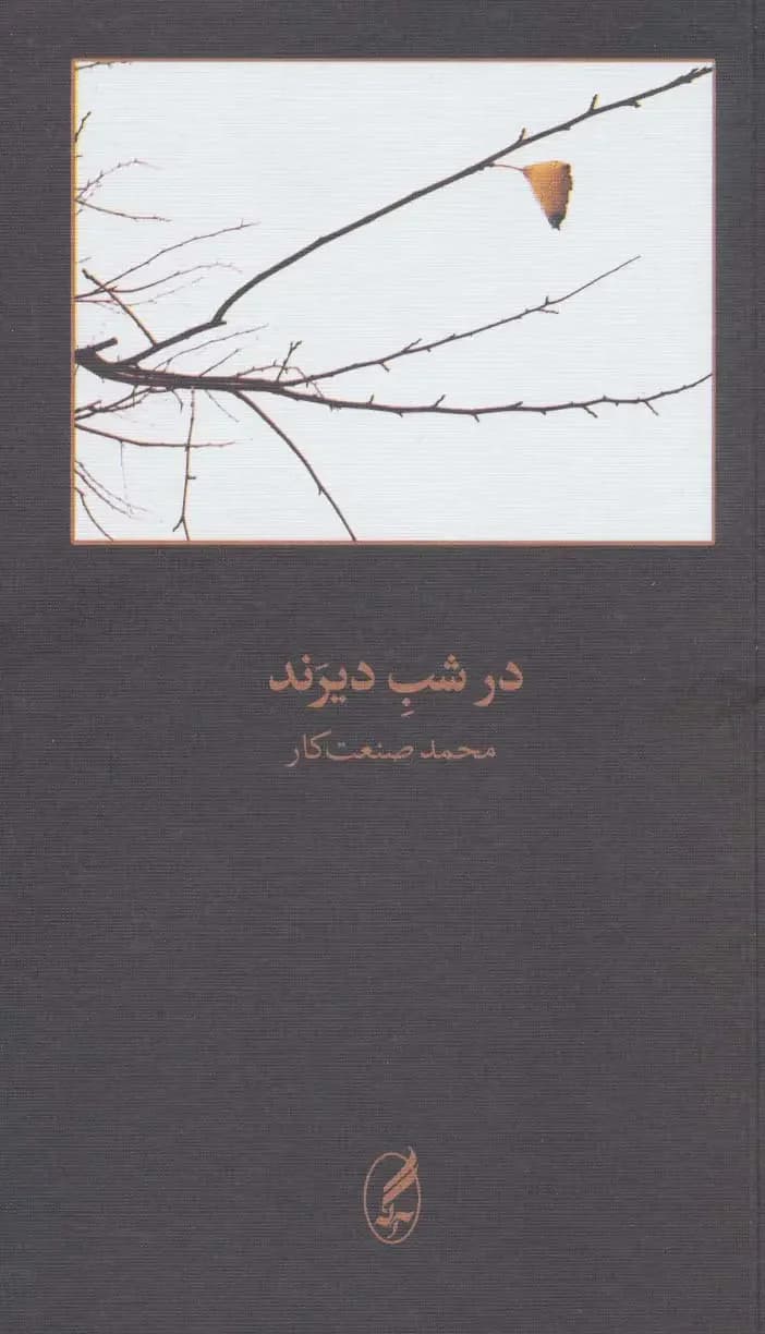 در شب دیرند