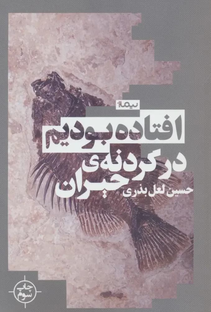 افتاده بودیم در گردنه ی حیران