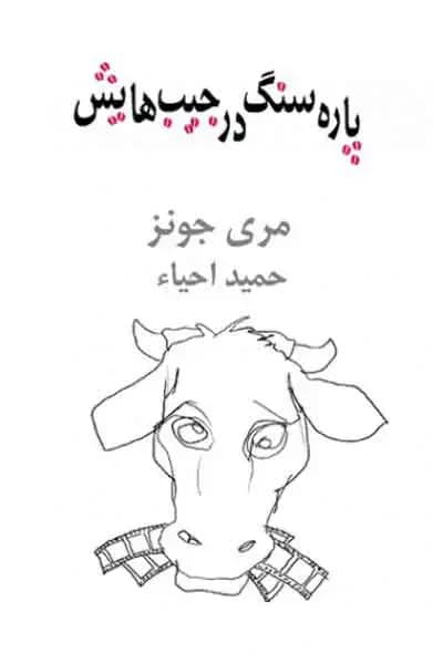 پاره سنگ در جیب هایش