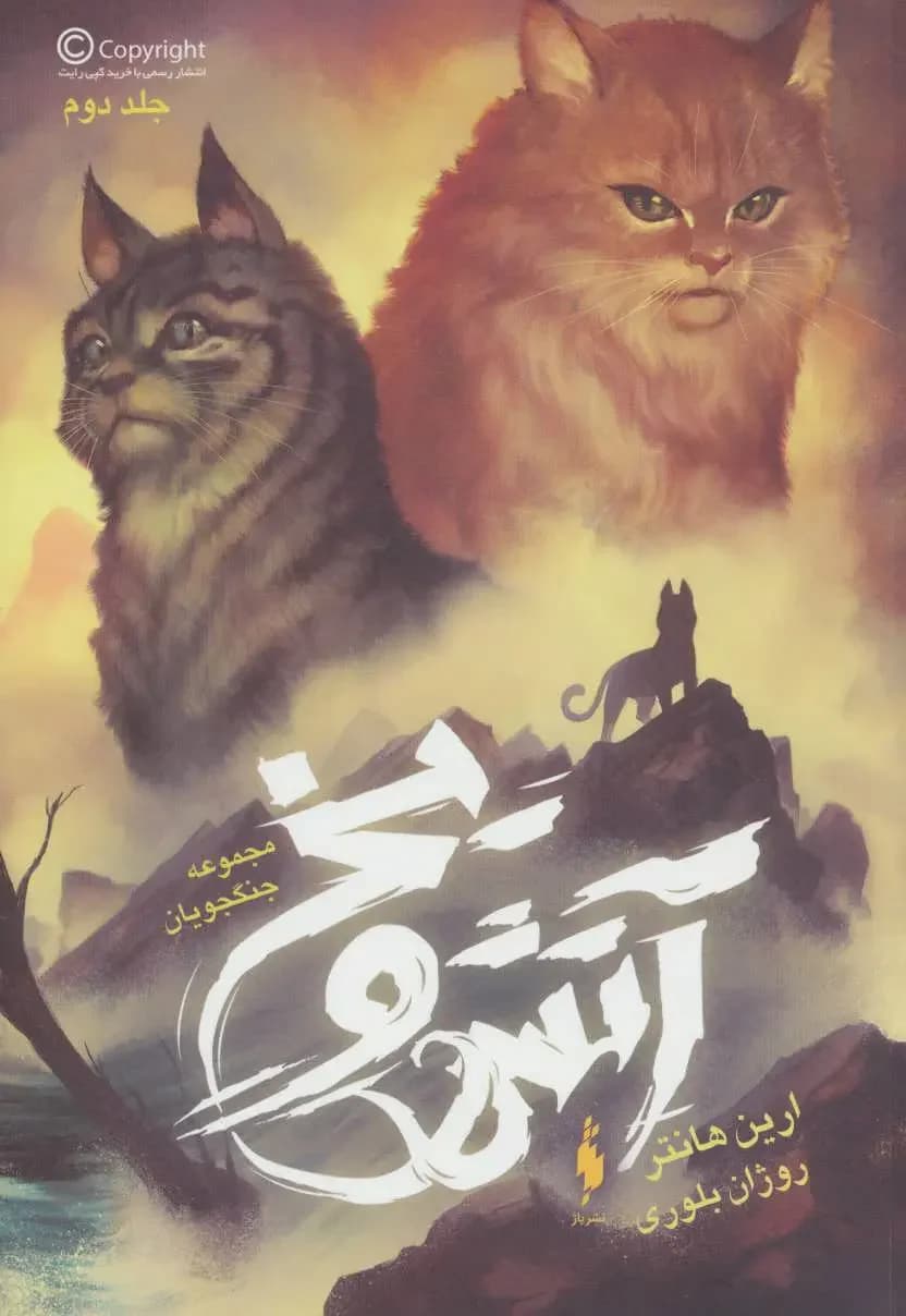 آتش و یخ