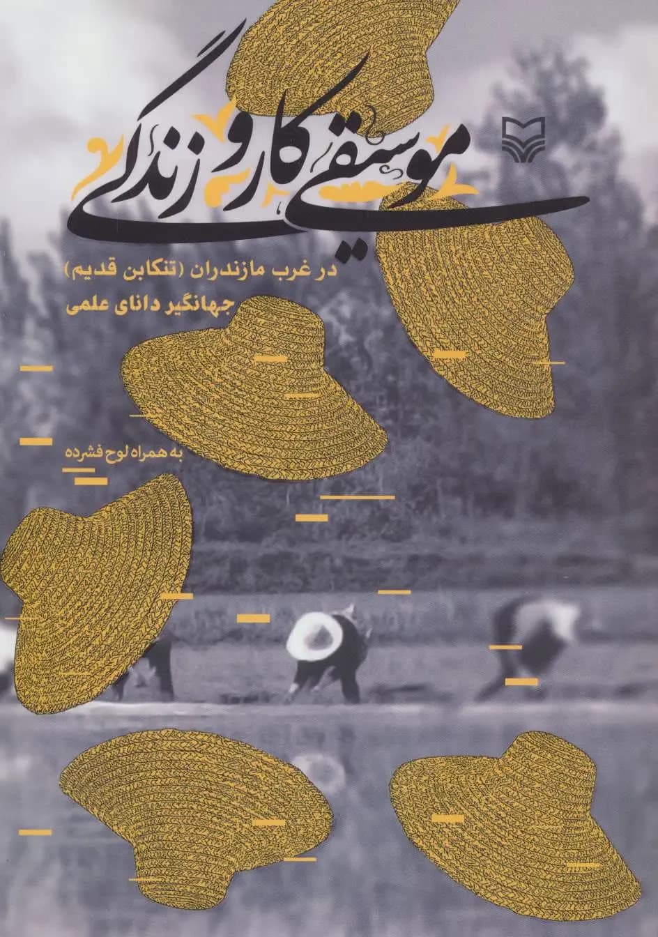موسیقی، کار و زندگی