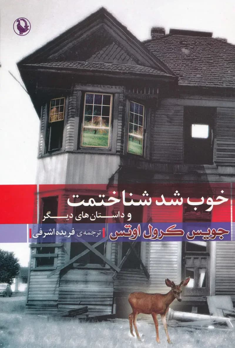 خوب شد شناختمت و داستان های دیگر