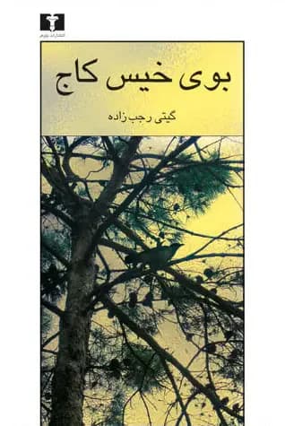 بوی خیس کاج