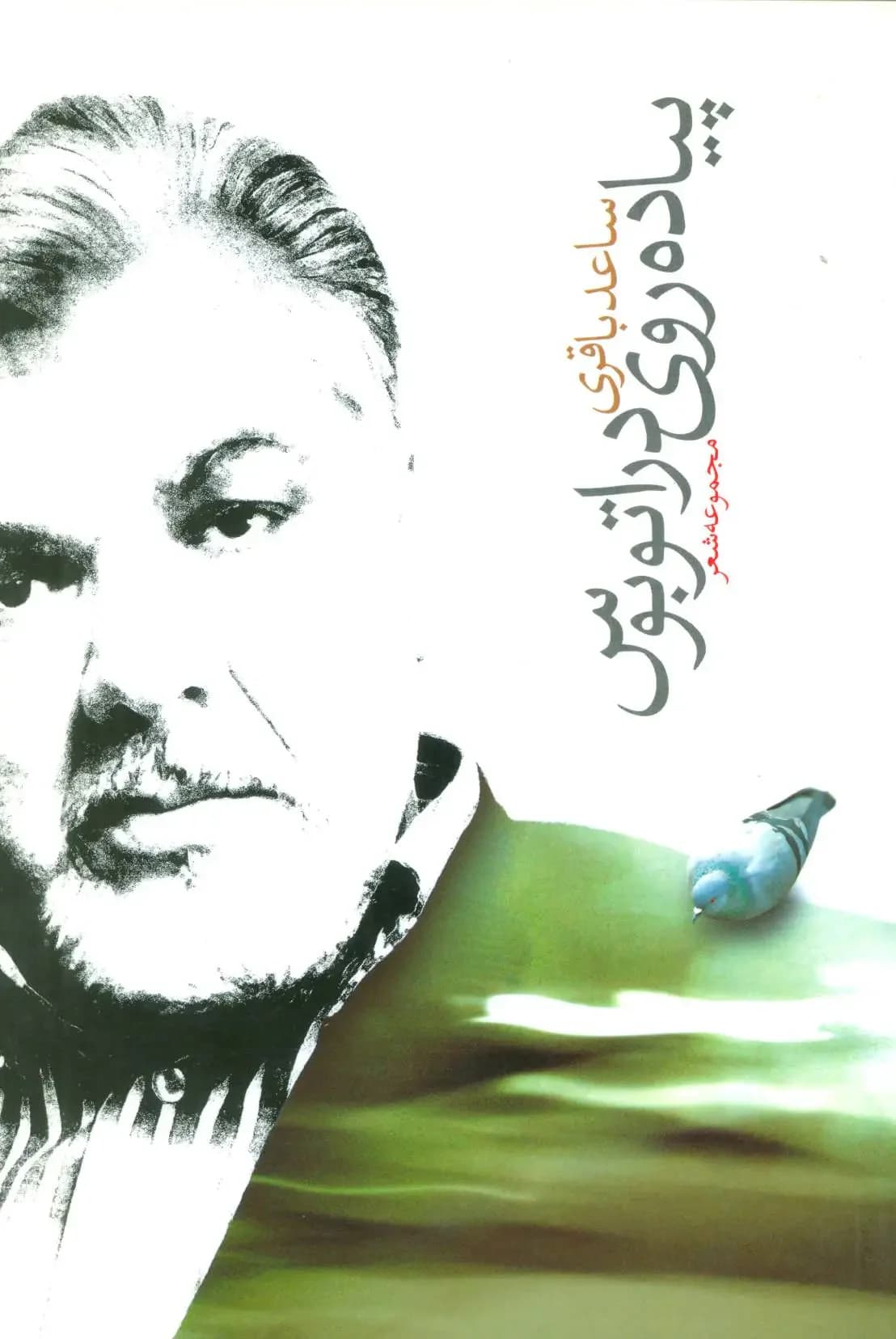 پیاده روی در اتوبوس