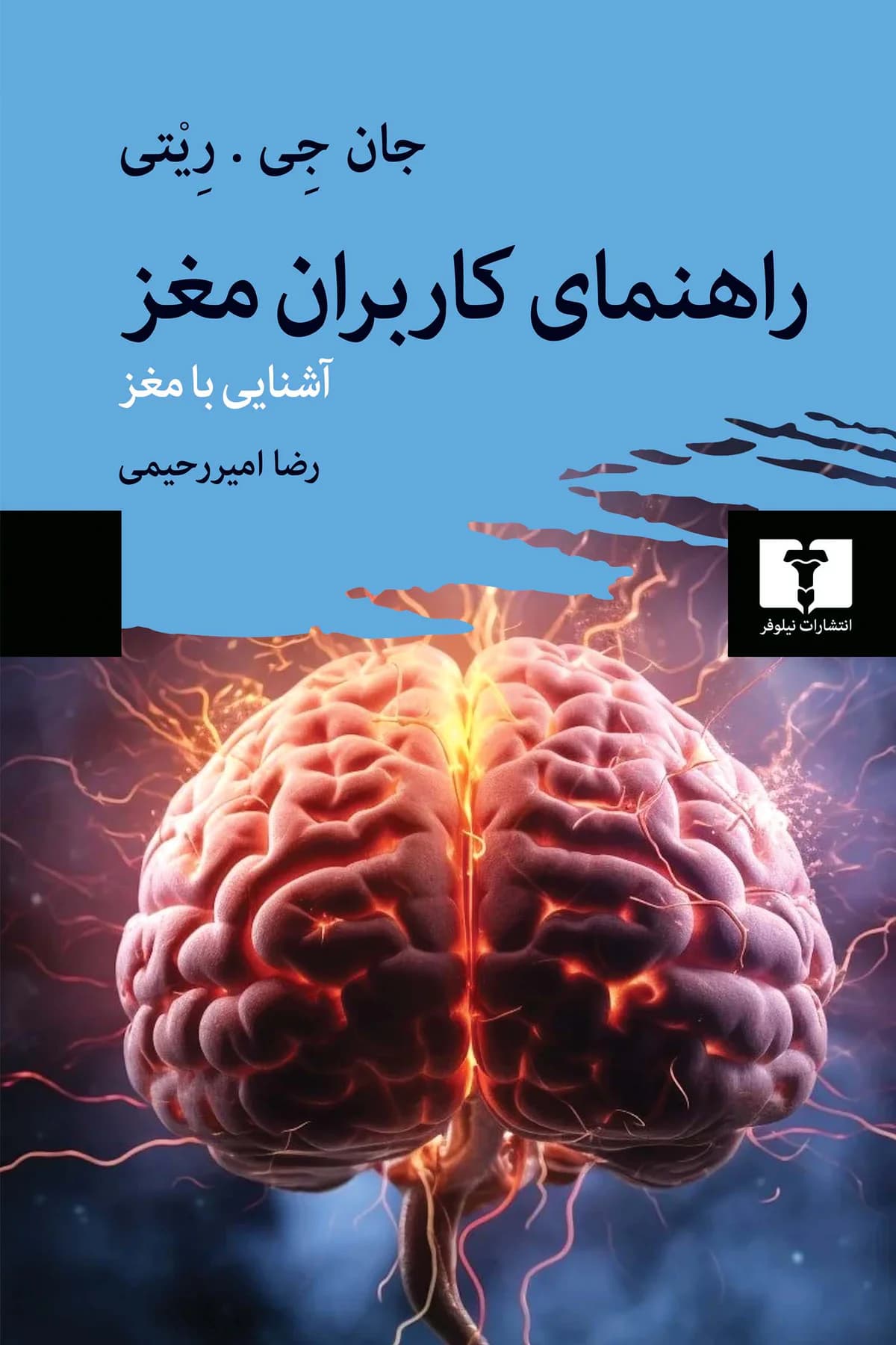 راهنمای کاربران مغز