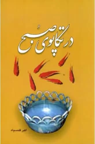 در تکاپوی صبح