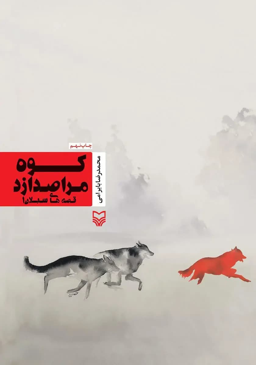 کوه مرا صدا زد