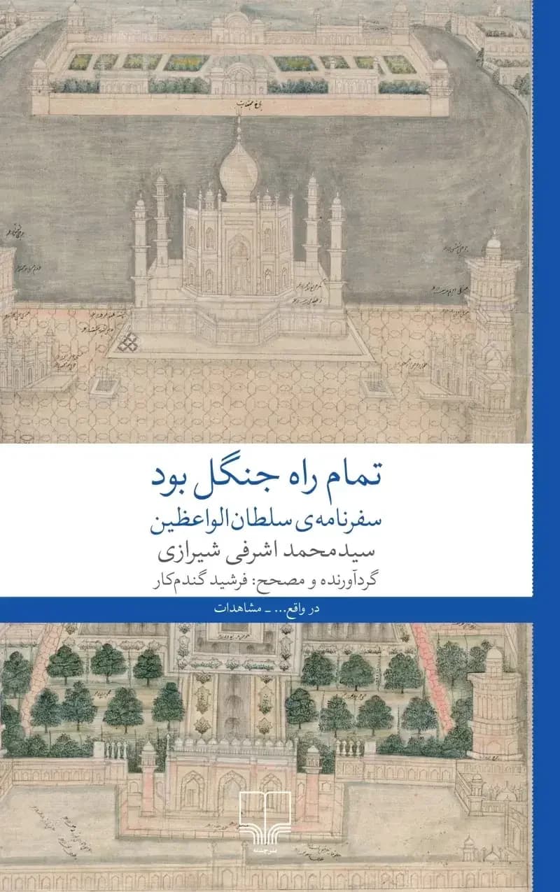 تمام راه جنگل بود