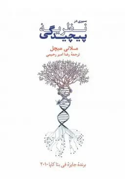 سیری در نظریهٔ پیچیدگی